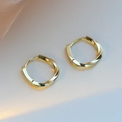 Geometric Wave Twisted Hoop Earrings for Women 2024 New Trend Simple Ear Buckle Jewelry Huggies