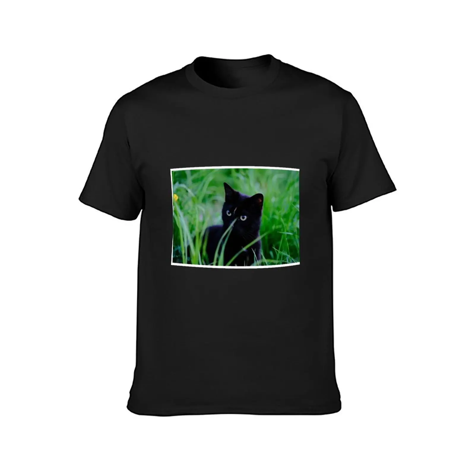 Cat in the grass T-Shirt cute clothes anime oversized t shirts for men