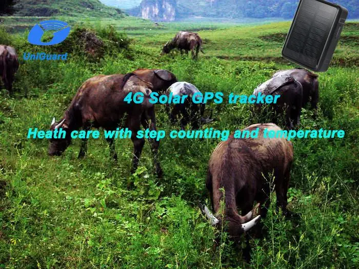 家畜ソーラー GPS トラッカー追跡センサー牛ペット馬豚羊歩数カウント抗除去アラーム無料モバイルアプリ