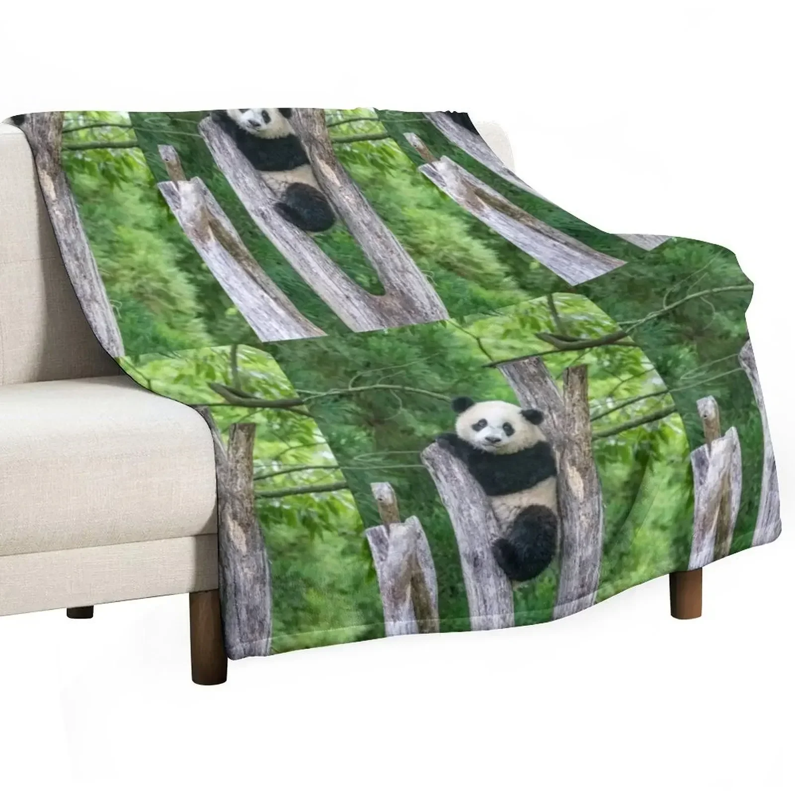 Giant Panda Xiao Qi Ji at the Smithsonian's National Zoo Throw Blanket Decorative Throw Personalized Gift warm winter Blankets