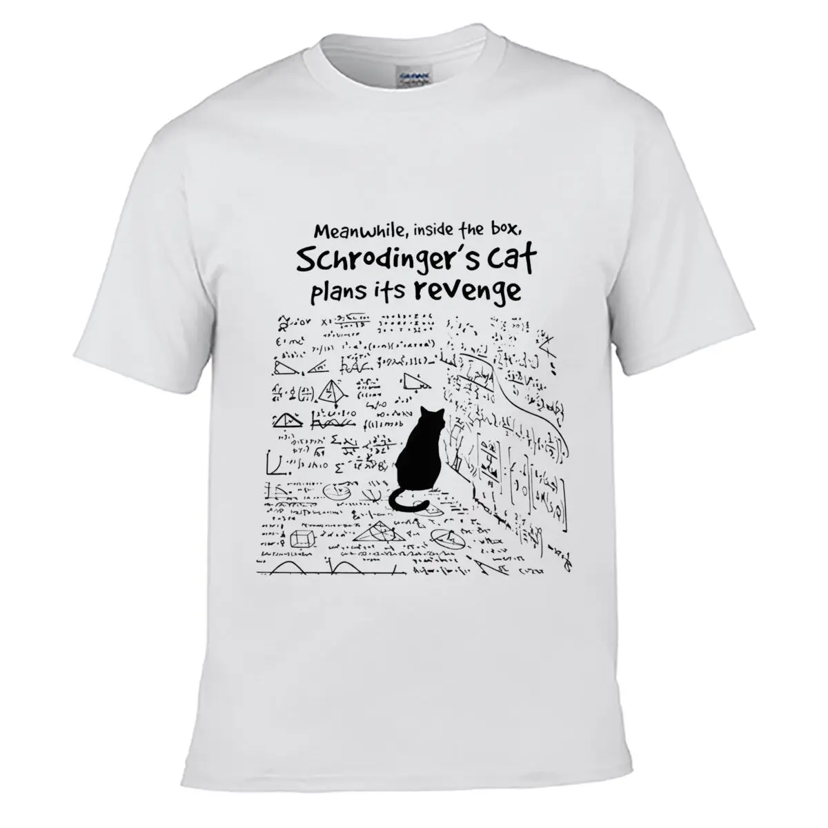Meanwhile Inside The Box Schrodingers Cat Plans Its Revenge Quantum Physics Summer T-shirt Loose Top