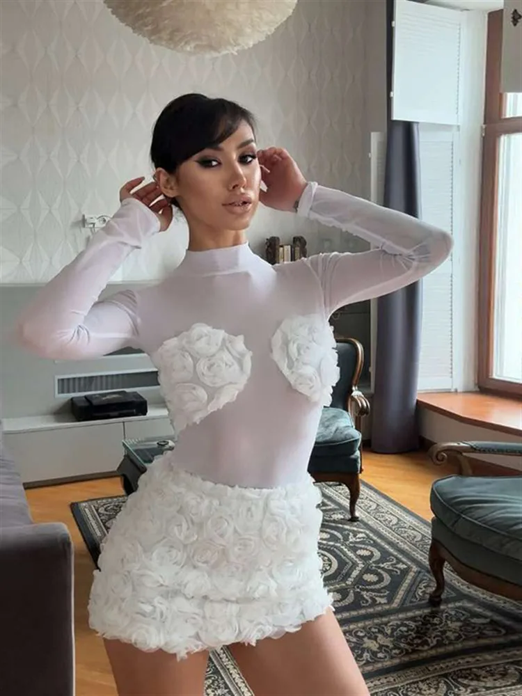 Absobe Sexy Mesh Patchwork Mini Dress For Women High Neck Long Sleeve Sheer Bodysuit 3D Flowers Slim Bodycon Two-Piece Partywear