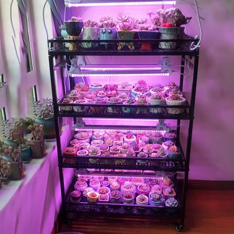 Succulent flower stand plant can be hung filling light mobile storage flower pot stand