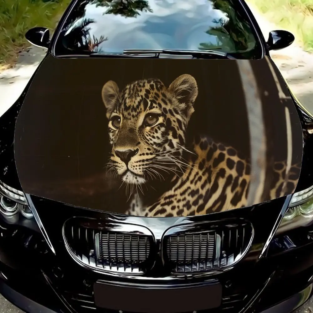Leopard observed in the dark, car hood decals, car hood stickers, car hood wraps, gifts, self-adhesive waterproof, decorative an