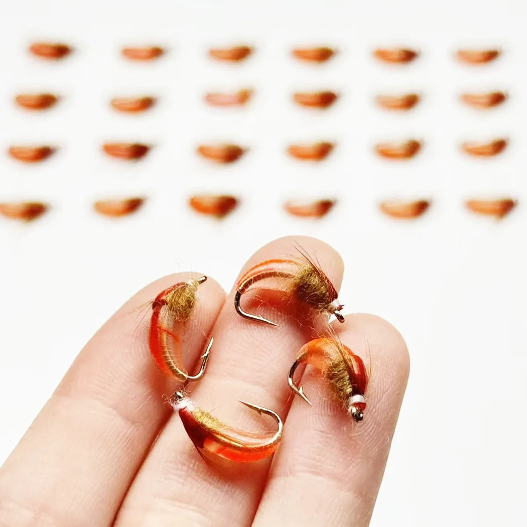 Fliegenfischen-Köder 10 Stück (mit Fliegenbox) Scud Nymph Red Bait Künstlicher Trockenköder für Forellen- und Barschangeln – Detail 8