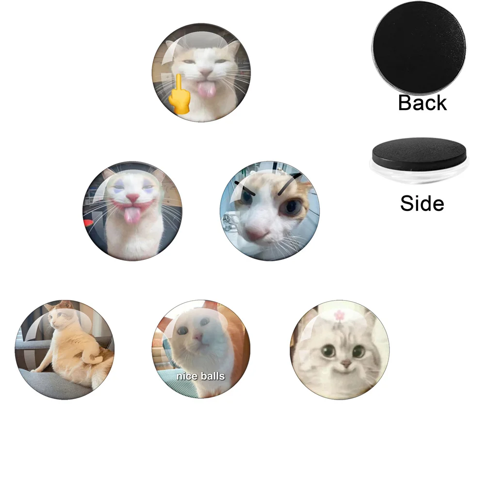 

Фотомагнит детский со смешным котом, 25-50 мм