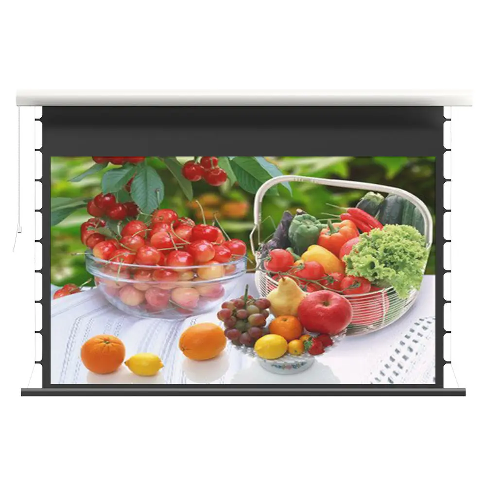 

120inch Electric Outdoor Projector Screen With Chargeable Battery Powerd