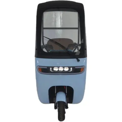 China Manufacturer Factory Price 800W Electric Tricycle for Adults, Passenger Electric Three Wheels Bike