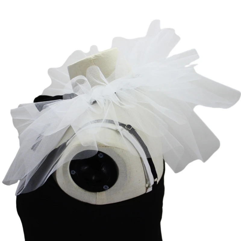 Womens Vintage Mesh Ruffle Faux Kraag Victoriaanse witte nek Ruff