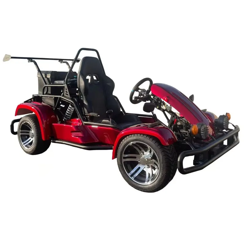 All Terrain 200cc Off Road Go Kart Racing Buggy for Adults Scooters