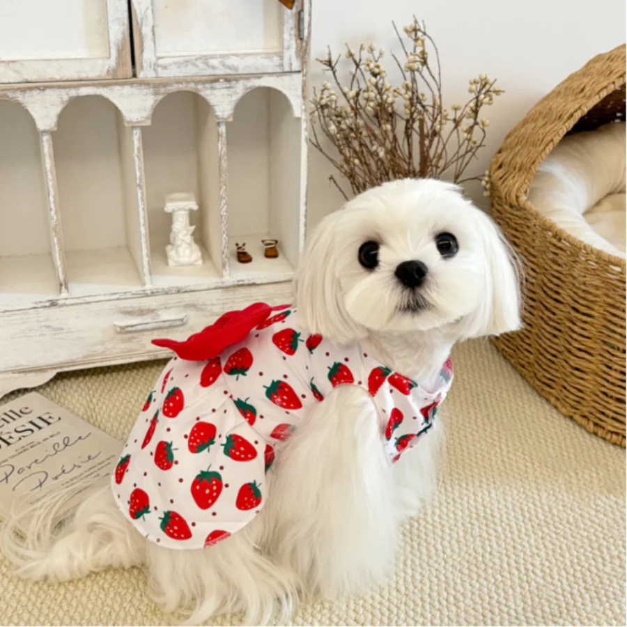 1pcs Red strawberry printed pet vest, thin large bow cat and dog vest skirt