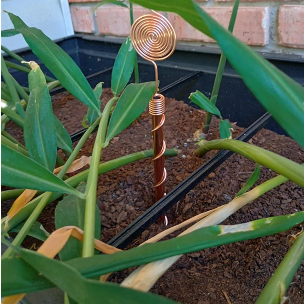 Electroculture Plant Stakes, Copper Electroculture Copper Gardening Antenna for Growing Garden, High-Yield, Eco-Frien
