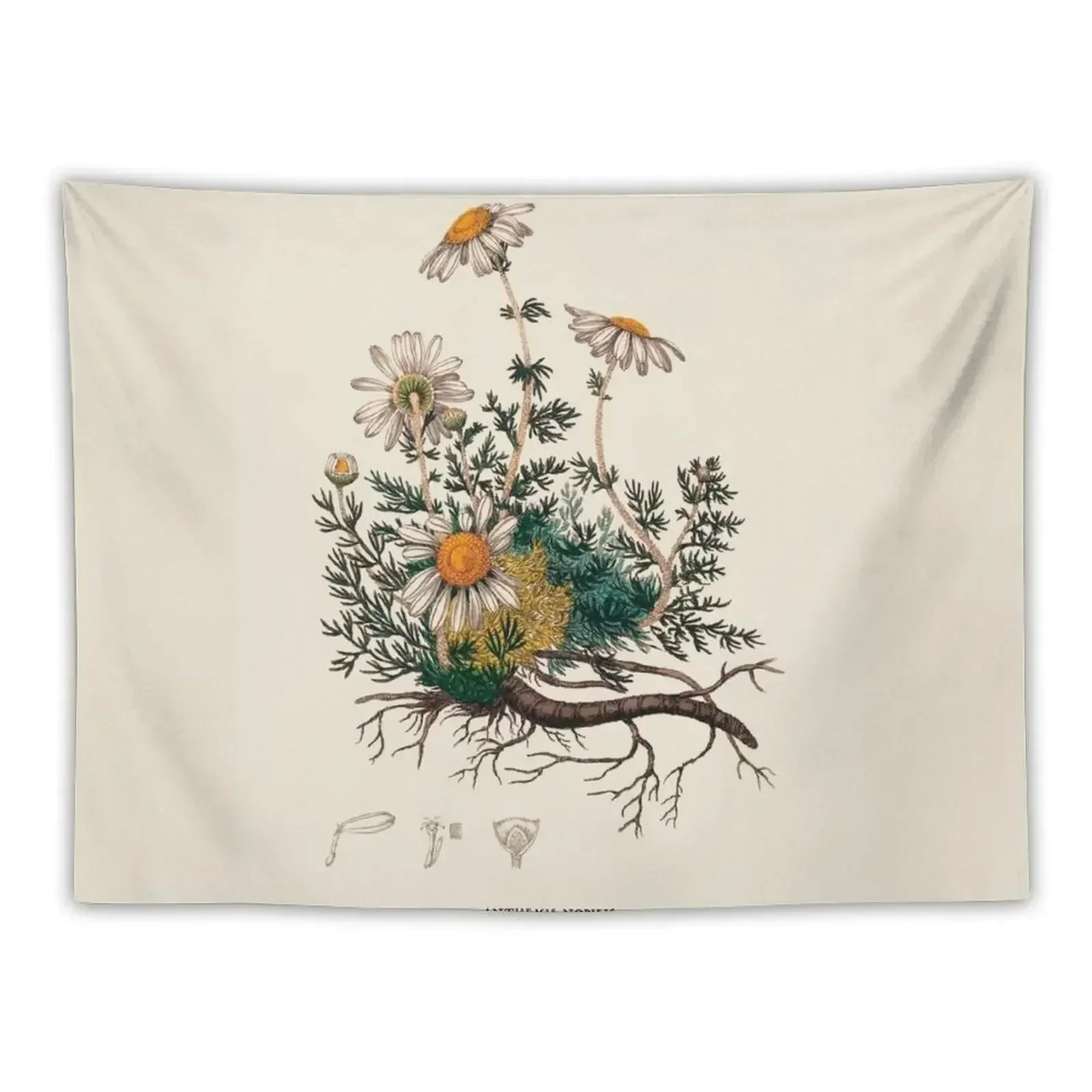 

Camomile Antique Botanical Illustration Tapestry Tapete For The Wall Room Decoration Accessories Room Decor Tapestry