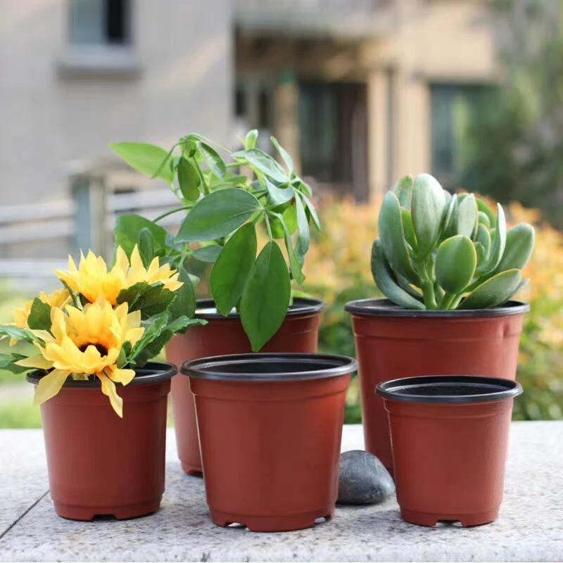 Maceta de sección delgada, caja de cultivo de plástico, bandeja resistente a caídas para plantas de jardín del hogar, taza para vivero, macetas para