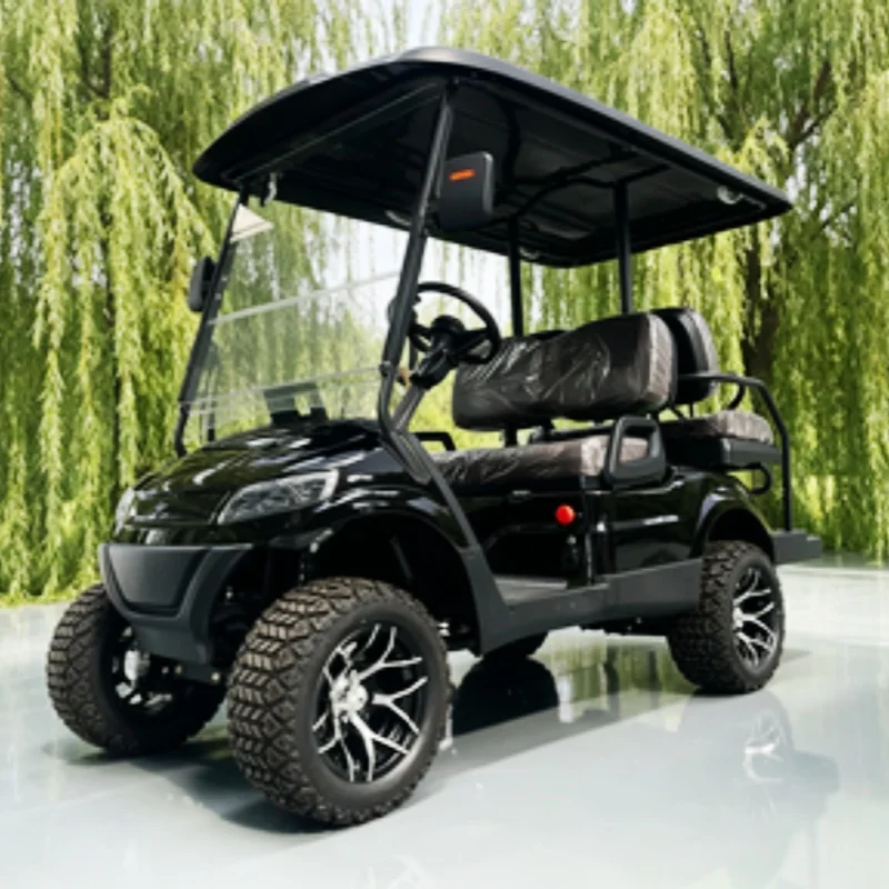 New Products Most Popular Golf Cart 2 Seater Mini Electric Golf Cart Caddie Standing Area And Golf Bag Rack Sand Bucket X2