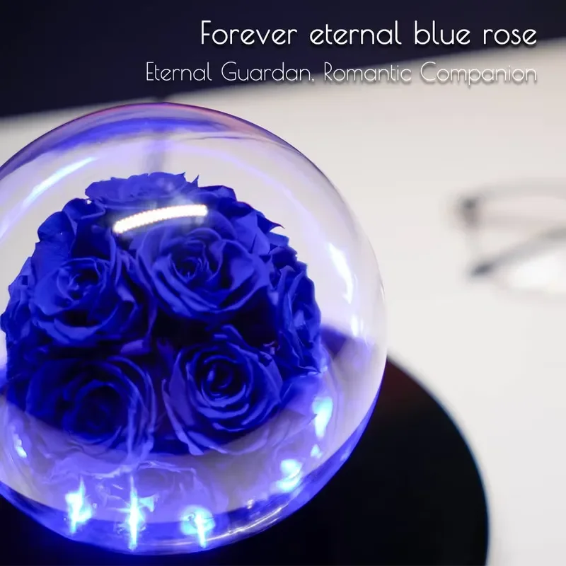 Romantic Valentine's Day Gift Home Decoration LED Light Maglev Floating Eternal Rose Infinite Stability
