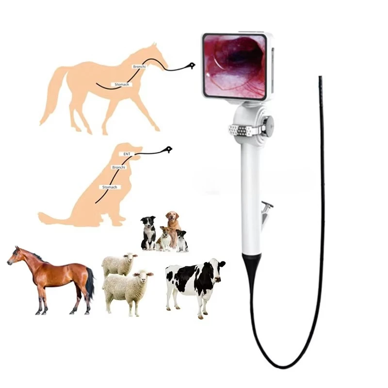 P029-3 Animal Endoscope PET Bronchoscope Gastroscope Colonoscope Ureteroscope Veterinary Endoscope Horse