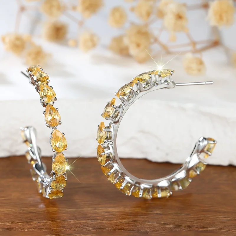 2026 New Personalized C-shaped Earrings for Female Actors, Elegant and Trendy, Exaggerated High-end Temperament Accessories