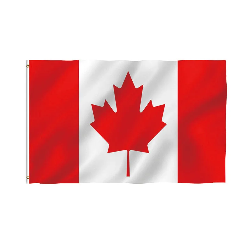 10Pcs Canada Hand Waving Flag polyester Canadian Small National Flags with Plastic Flagpoles Canada Flag