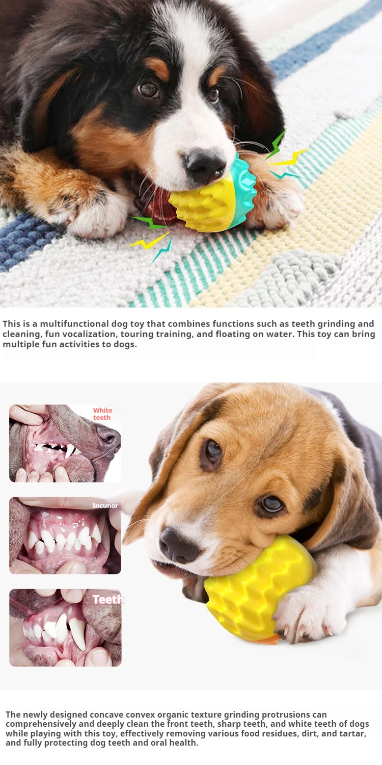 Langlebiger Bissfester Elastischer Quietschball, Eingebauter Sound Zahnreinigungsspielzeug für Hunde und Katzen im Haus – Detail 3