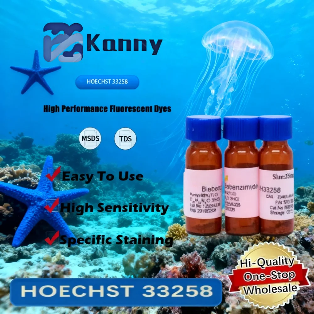 HOECHST 33258 Fluorescent Dye for Cell Biology and Nucleic Acid Staining in Laboratory Applications Original Product