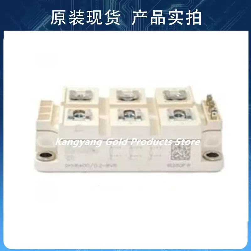 SKKR300-0.2-BVR SKK…