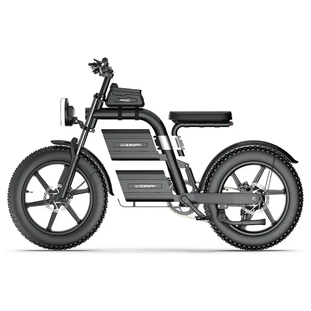 

20-Inch Dual Rear Carrier Electric Bike with High-Speed 60v Battery Powerful Fat Tire Mountain Off-Road Ebike High Speed