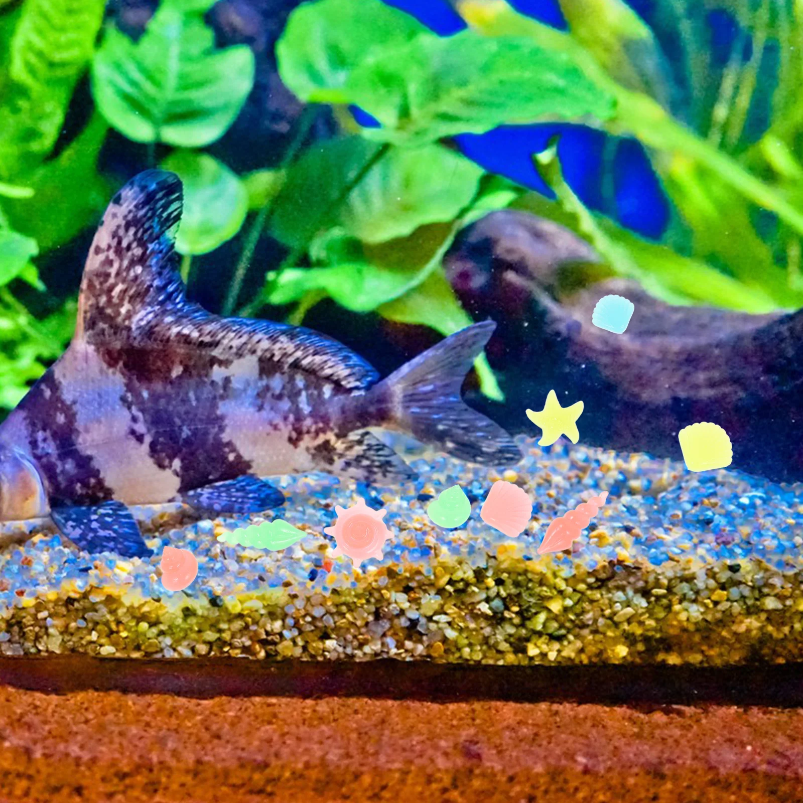 

50 Pcs Luminous Stones Glow The Dark Pebbles Fish Aquarium Gravel Tank Resin Rocks Decor