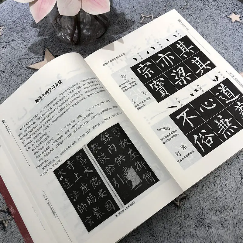Chinese Brush Copybook Calligraphy Complete Works Brush Writing Technique Reference Tutorial Chinese Characters Encyclopedia