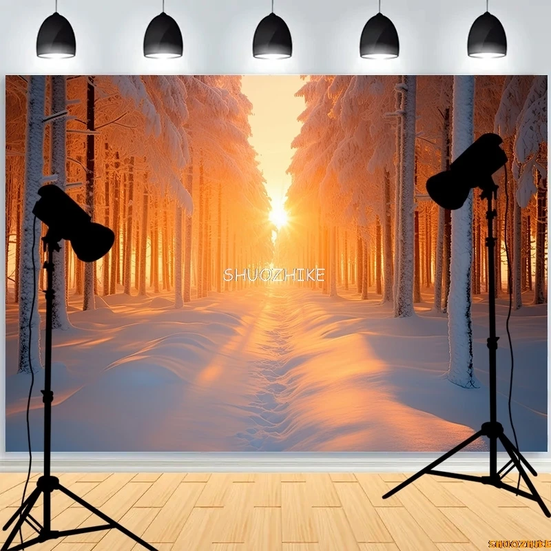 قطرات خلفية للتصوير الفوتوغرافي للغابات الشتوية ، طريق مغطى بالثلوج ، ندفات الثلج ، أشجار التنوب ، خلفية الصورة ،