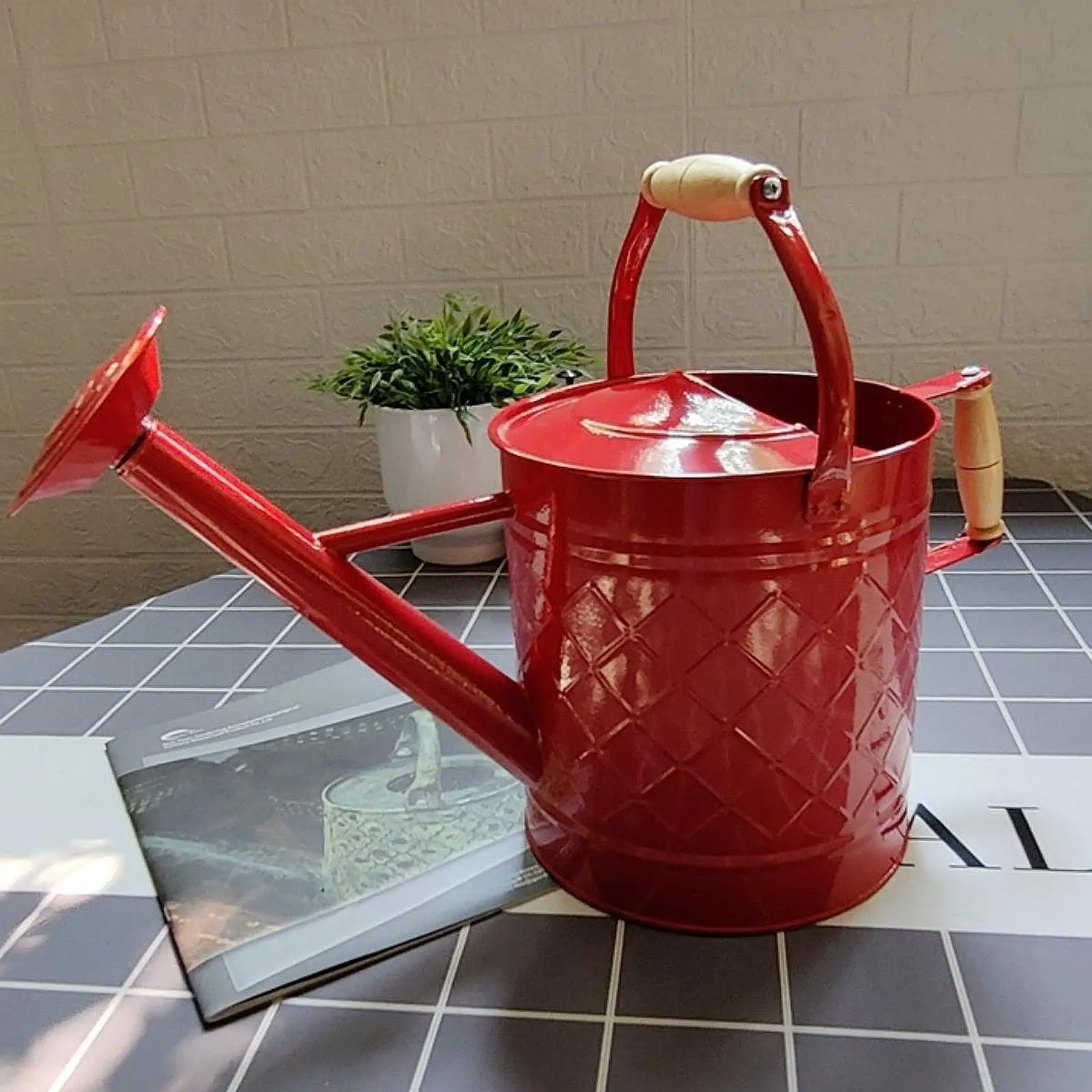 

Металлическая лейка, большое украшение, герметичная для уличных и внутренних растений