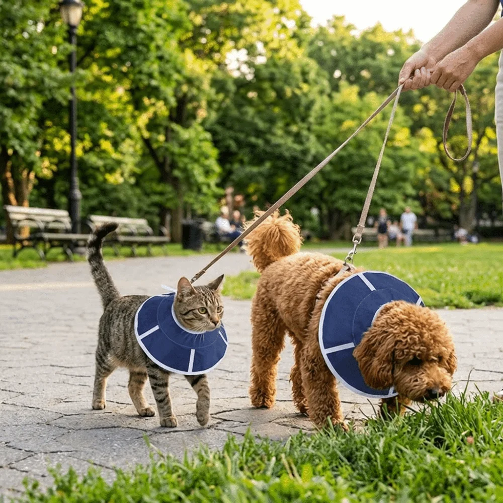 Flexible Surface Elizabethan Collar Adjustable Fit Soft Surface Anti Lick Shield Extended Edge Portable Build Protective Cone