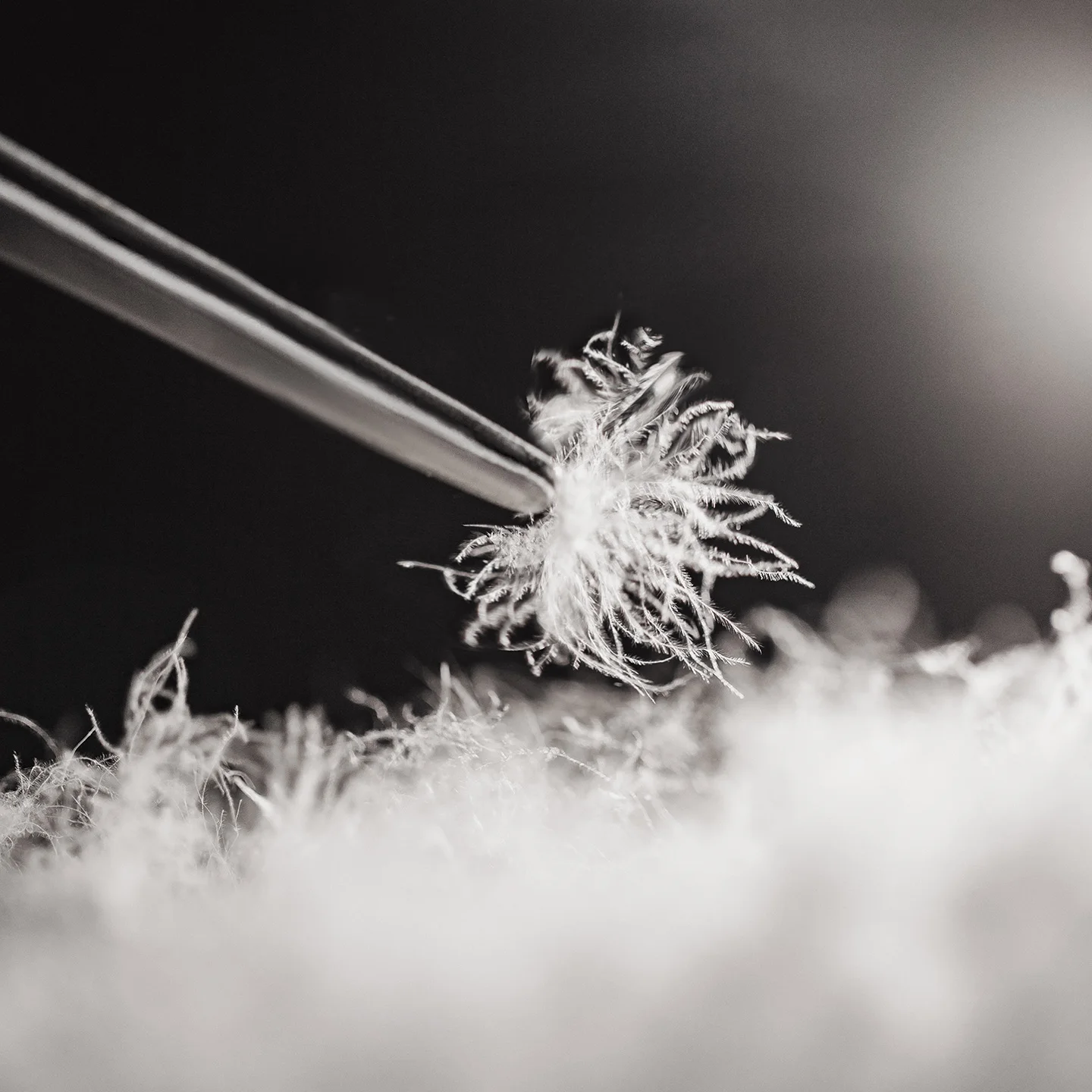 Maden Winter Men's Stand-up Collar Down Jacket Lightweight Hydrophobic White Duck Down Filling Coat Warm Inner Layer for Fall