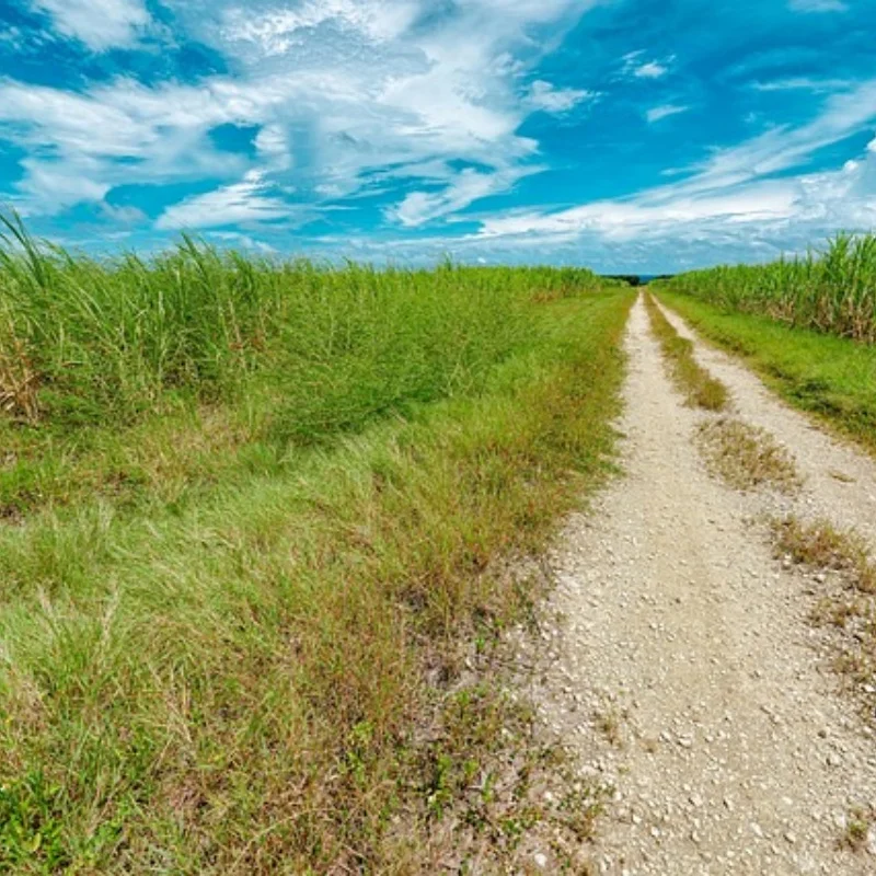 

105 мм 1/8 масштаб RC внедорожные багги шины колеса 17 мм шестигранные для ARRMA Typhon Redcat Team Losi Kyosho VRX HPI HSP Hobao