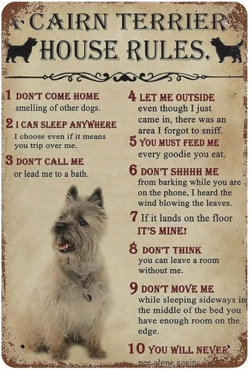 Metal Signs A Cairn Terrier's House Rules Signs Vintage Signs Retro Aluminum Tin Sign for Kitchen Office Home Bar Cafe Deco sign