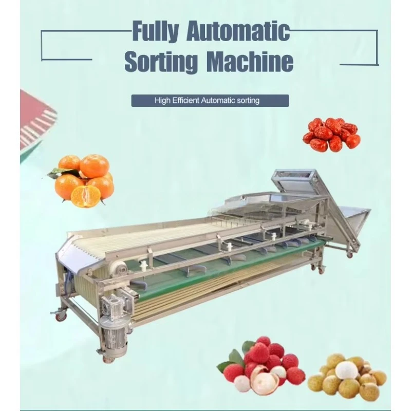 Blueberry Sorting Machine/Groundnut Sorting Machine/Onion Sorting Machine