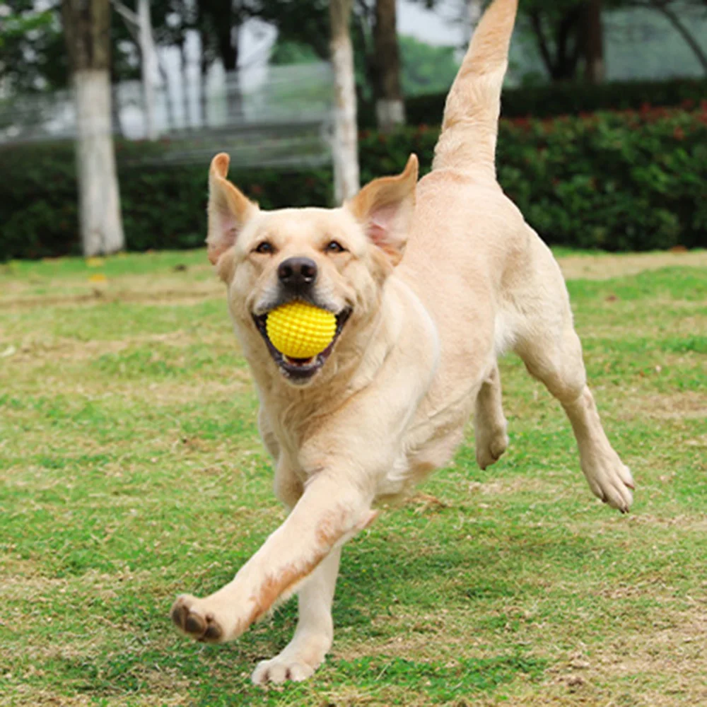 لعبة كرة الذرة التي تصدر صوتًا - لعبة مضغ لتنظيف الأسنان والمولي، لعبة لدغة مطاطية متينة وغير سامة،