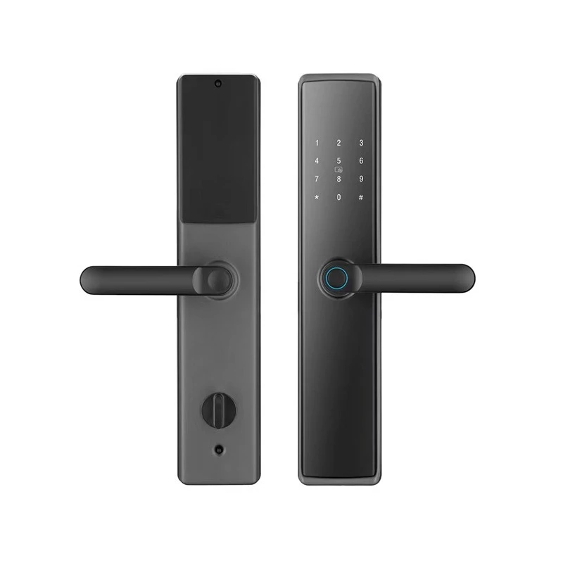 

Fingerprint lock, anti-theft door, multi-functional management, cross-border Chinese and English national languages