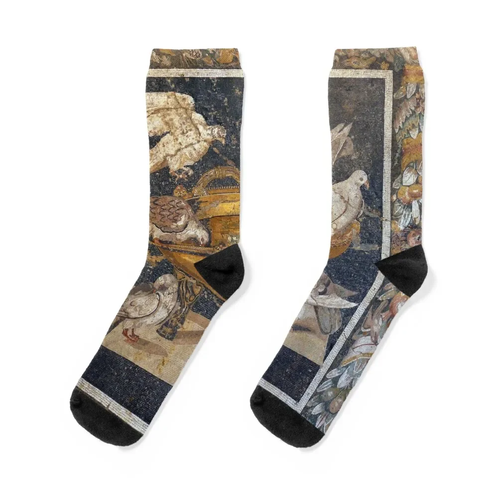 

Ancient Roman mosaic Socks bright garter gym kawaii New year's Socks For Man Women's