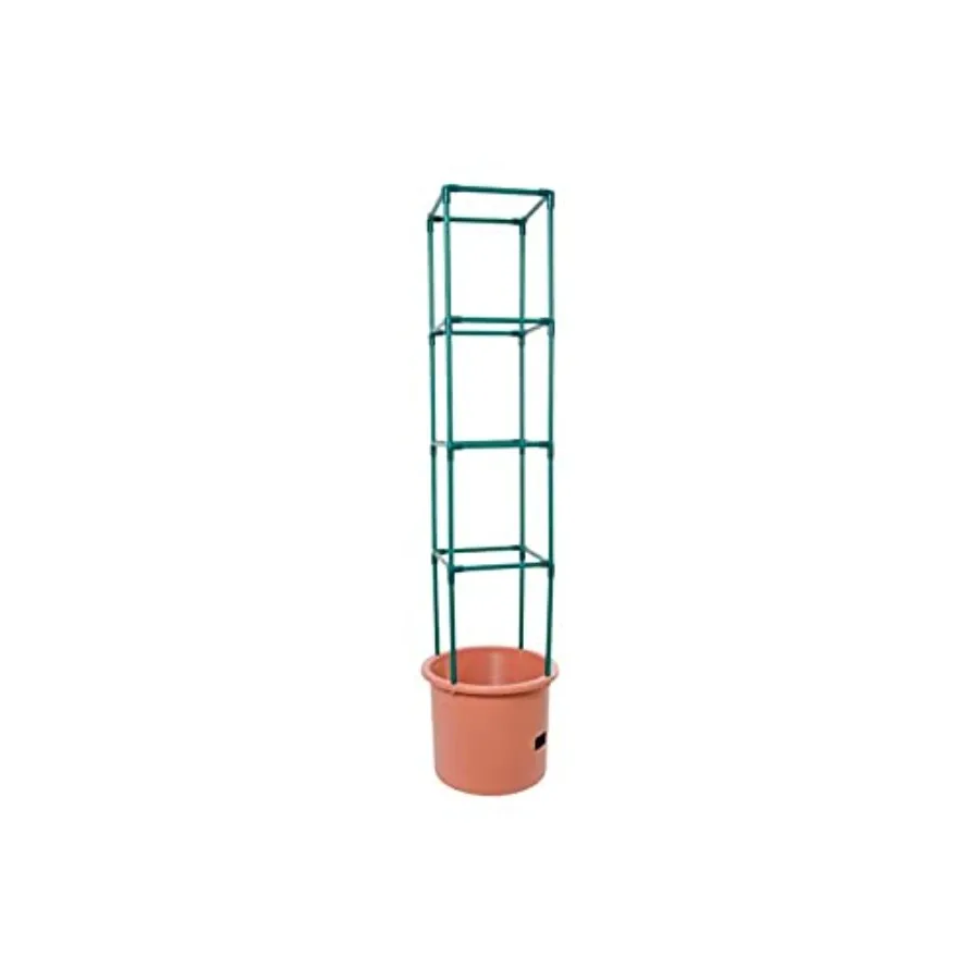 Tomato Barrel Pot Garden Plant - đánh giá và giá Coco Coir Block
