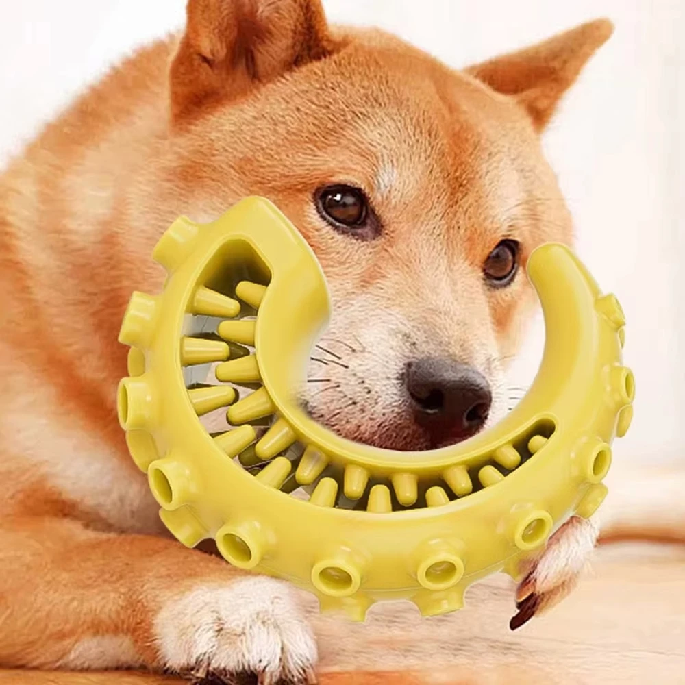 #34 Latest Durable Pet Chew Toys Updates