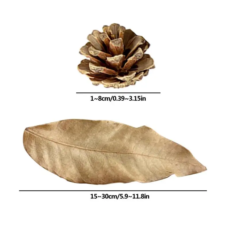 Aquarium Alder Cones Natural Fish Tank's pHLowerer Aquarium Decorations & Multifunctional Accessories