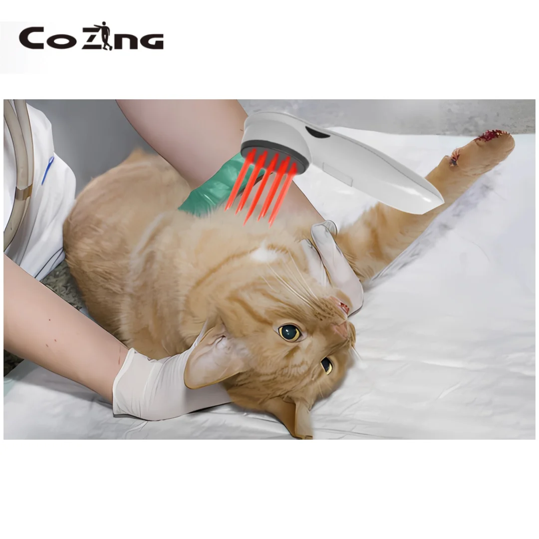 

Устройство для боли класса 3B LLLT. Система поддержки физического артрита спины.