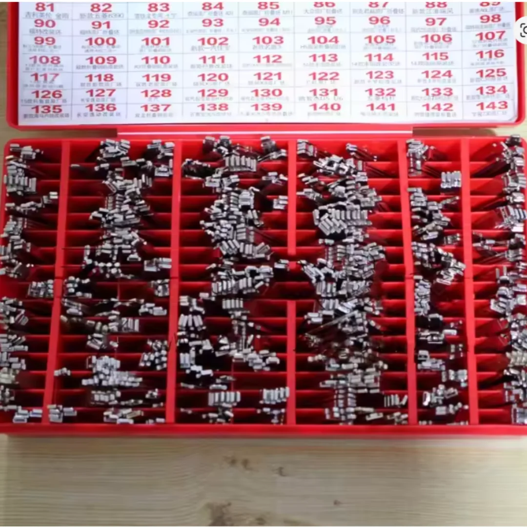 Various Uncut Car Key Blank Set Car Key Blade Kit with Sorting Box for Locksmith