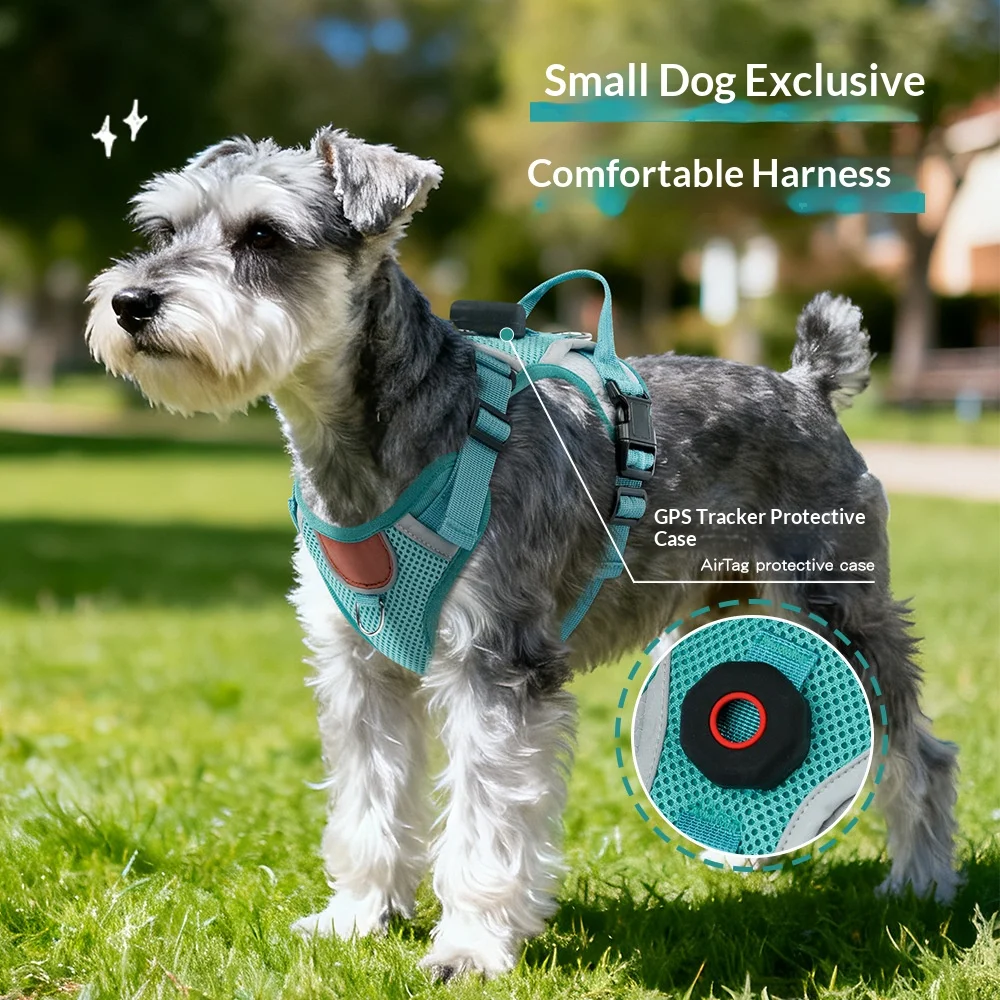 Nuevo Arnés Antipérdida para Perros con Bolsillo para Rastreador GPS – Correa Transpirable de Doble Malla Anti-Sudor para Perros Pequeños y Medianos