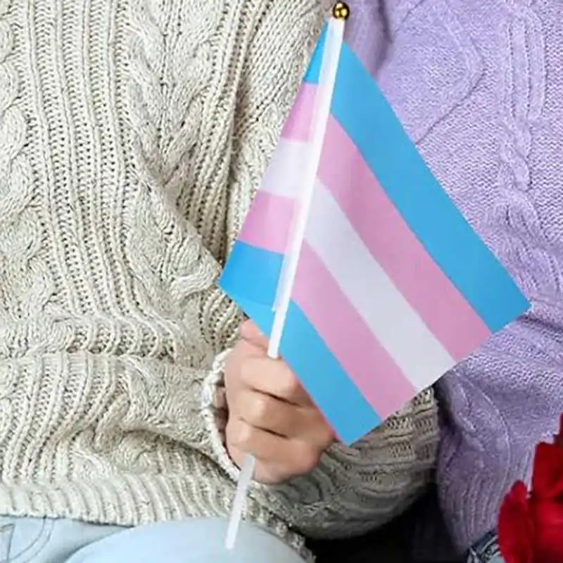 

10PCS LGBT Transgender Flag Trans Pride 14x21cm Mini Stick Rainbow Banner With Flagpole For Decoration Celebration Parades