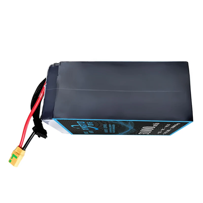 XINTO solid-state lithium battery 31000mah 12s 10c 46.2v Intelligent lithium battery for agricultural drones