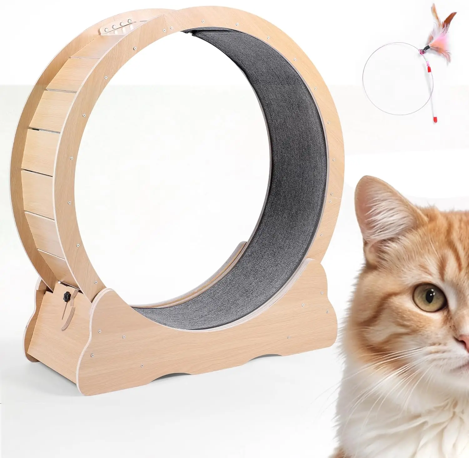 Cat Treadmill for Indoor Cats by  Quiet, Scratch Resistant, Easy Clean. Large Cat Wheel Exerciser with Locking Mechani