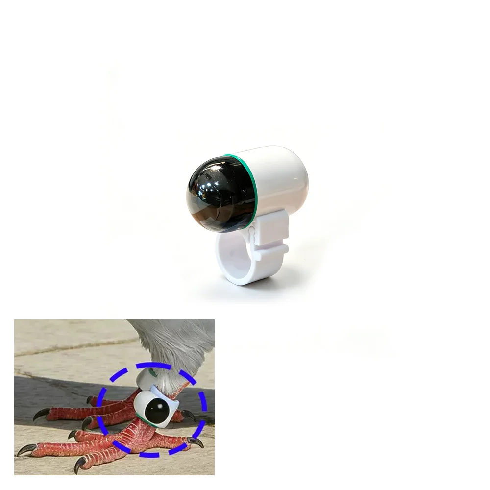 gps-tracker-pigeon-ring-leg-remote-ip67-bt-tracker-for-racing-pigeons-homing-pigeons-crows-flight-monitoring
