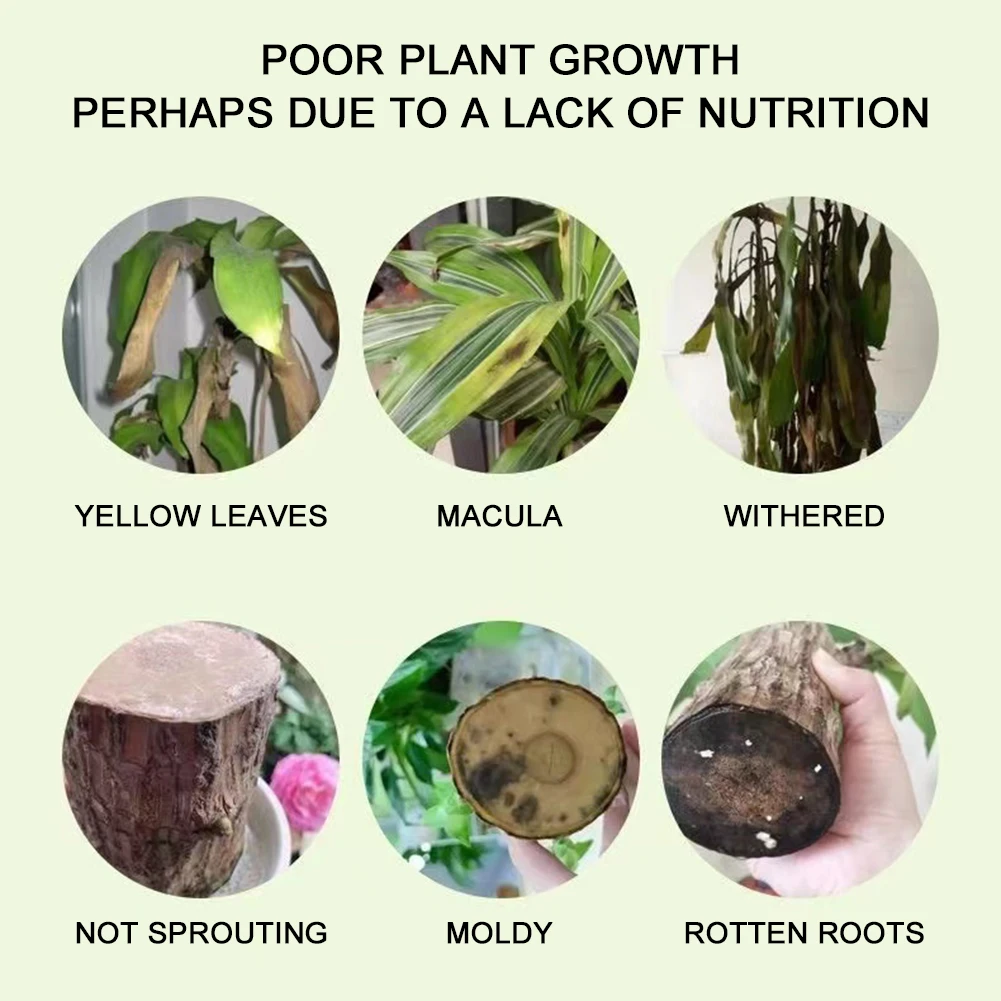 100ml Plants Liquid Fertilizer Effective Promotes Brazil Wood Health Growth Nutrientsfor for Plant Flower Nutrient Solution